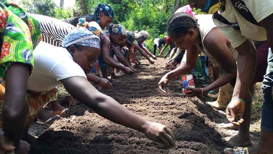 Organic Farming Empowerment and Entrepreneurship Project for Internally Displaced Women I Cameroon