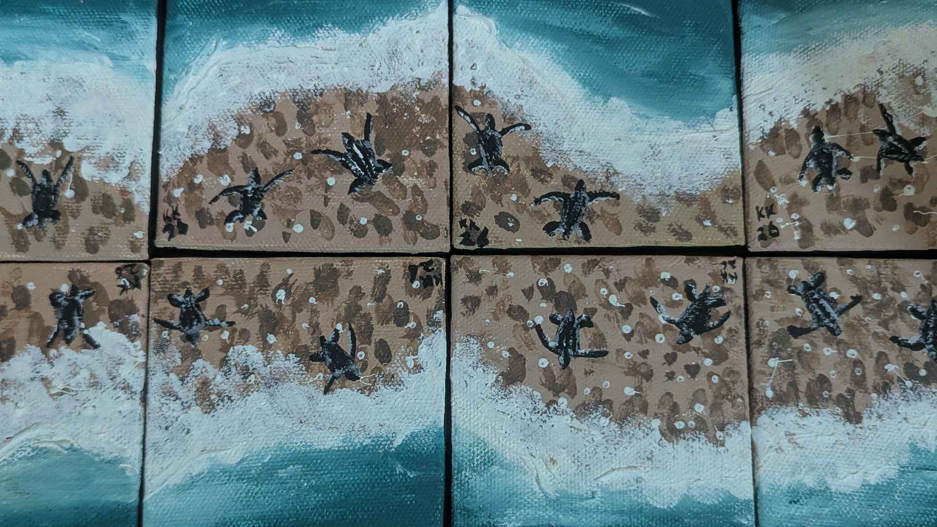 Baby turtles on a spot of land going to the water