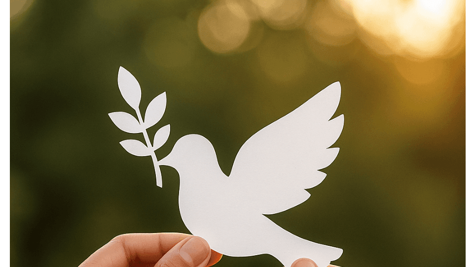 A close-up image of a white dove holding an olive branch in its beak, set against a soft blurred background of warm golden light. The dove symbolizes hope, peace, and resilience.